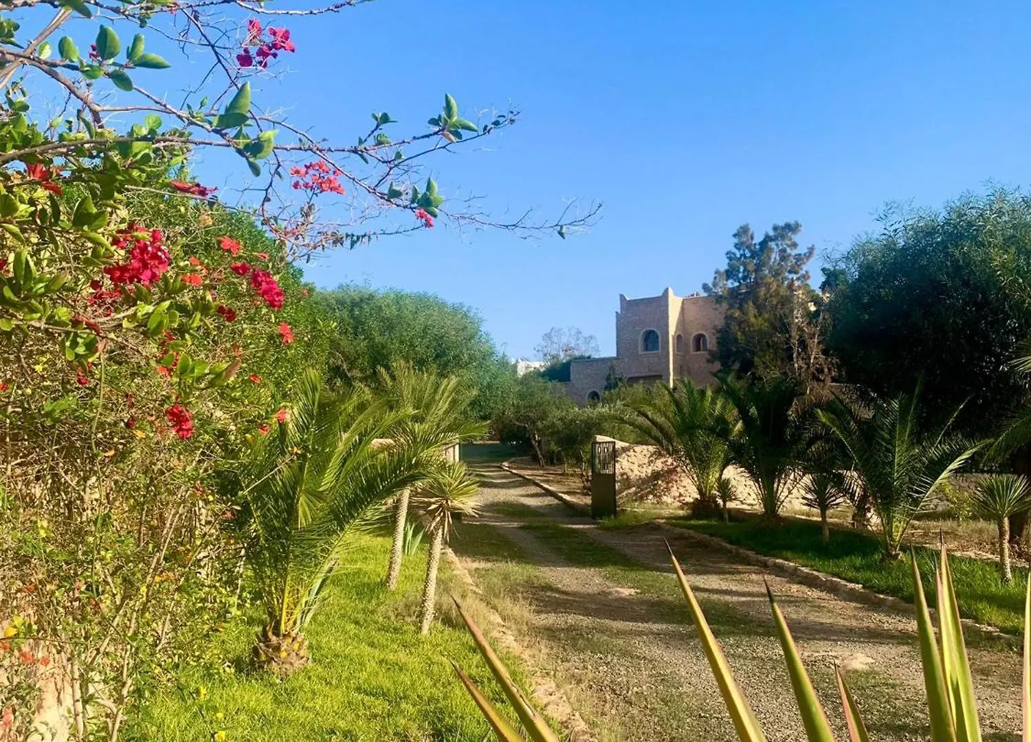 Le Domaine D'Eden - Villa Luxueuse, Piscine, Spa Et Personnel Essaouira