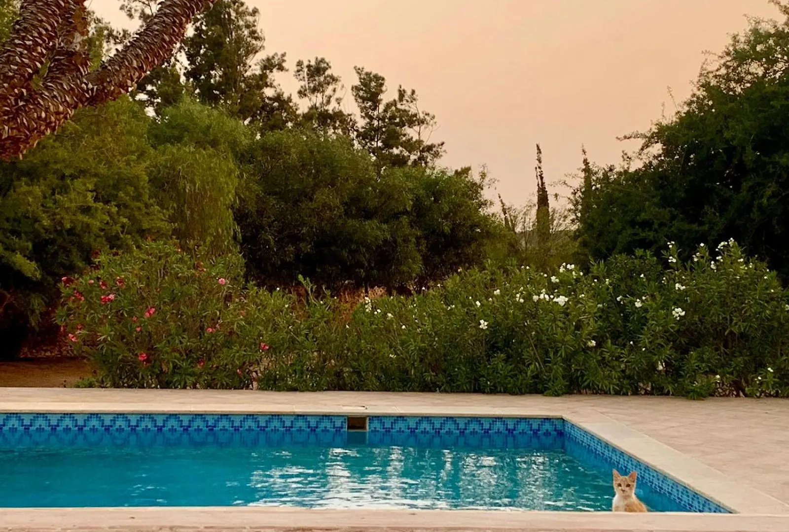 Le Domaine D'Eden - Villa Luxueuse, Piscine, Spa Et Personnel Essaouira